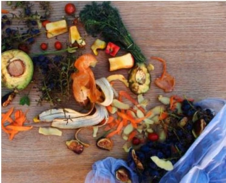 Visualización de la problemática de desperdicios de alimentos